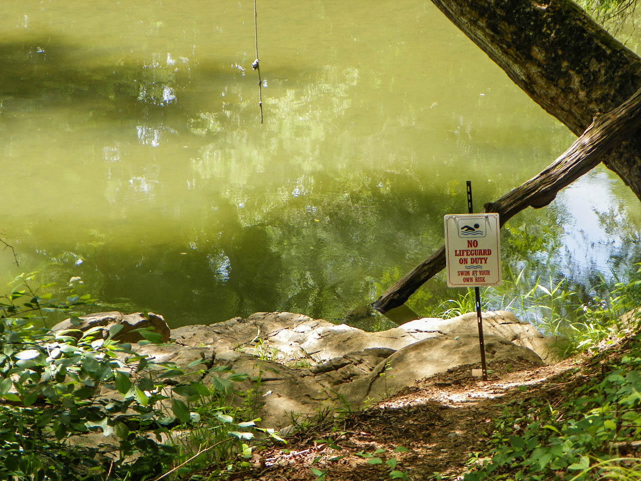 1890 Pittman Center Road, Unit 2 Sevierville, TN 37876 - Photo 26 of 34 103_3418