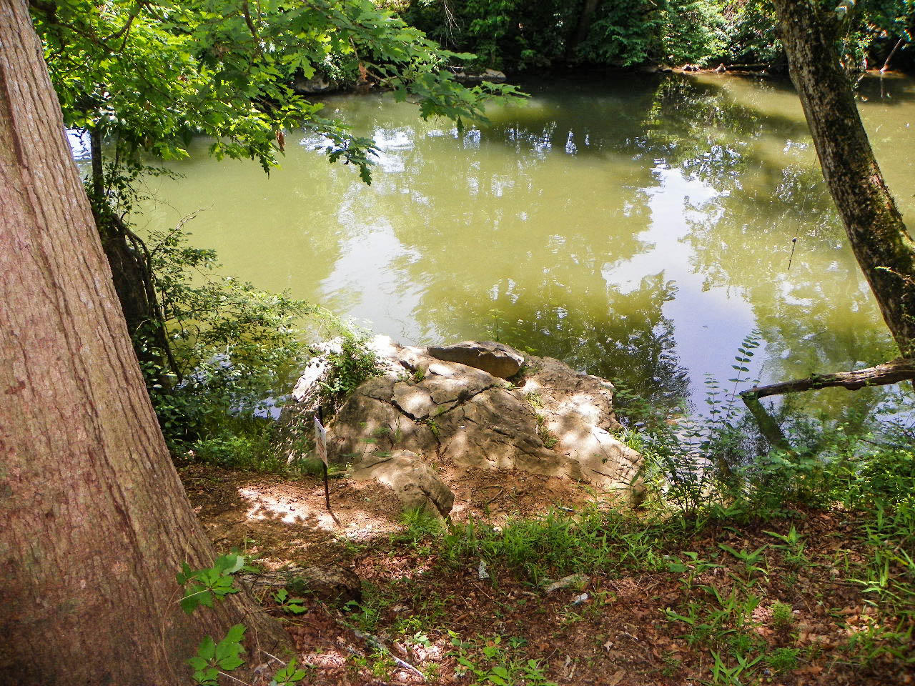 1890 Pittman Center Road, Unit 2 Sevierville, TN 37876 - Photo 28 of 34 103_3421