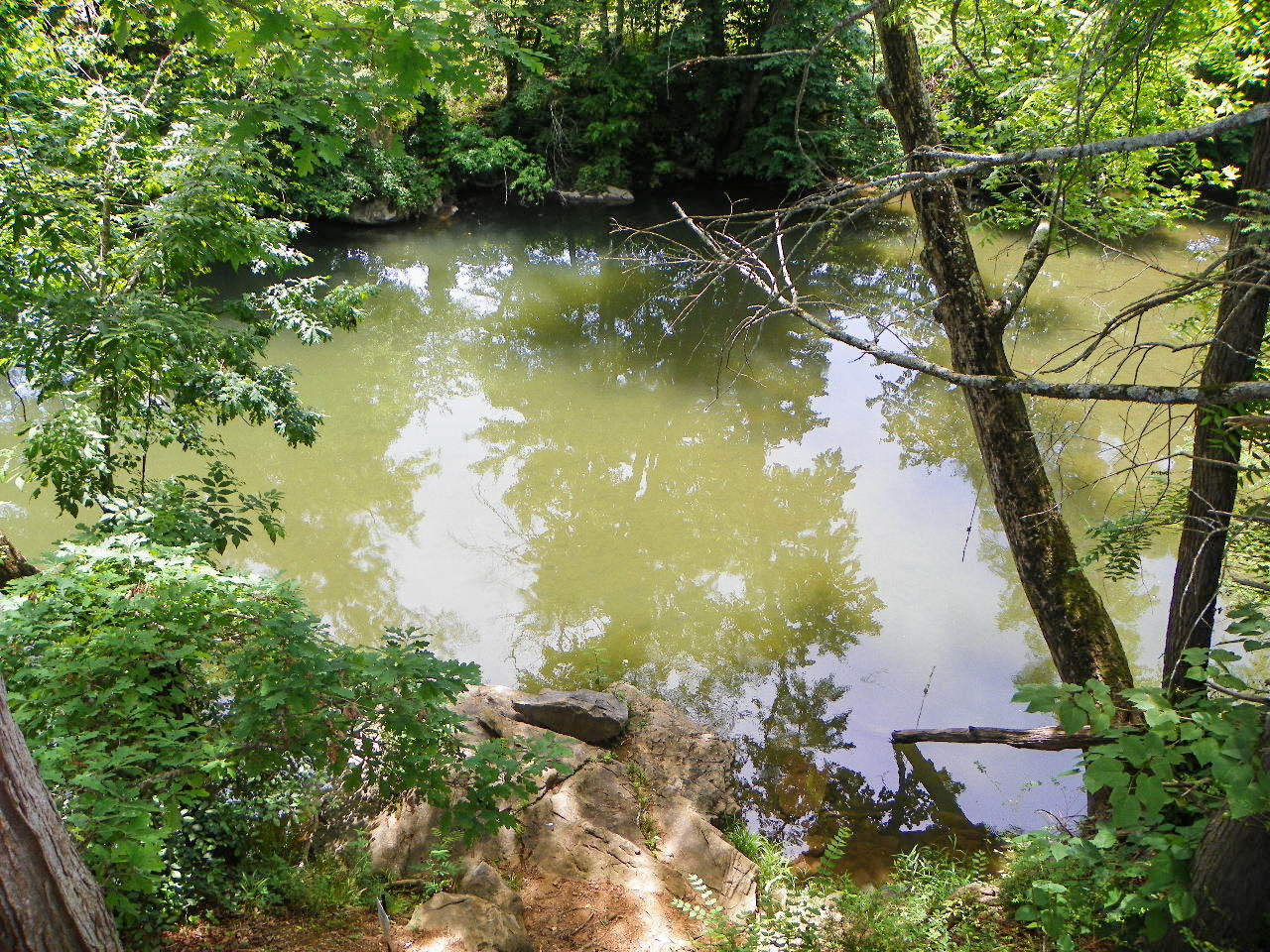 1890 Pittman Center Road, Unit 2 Sevierville, TN 37876 - Photo 34 of 34 103_3507