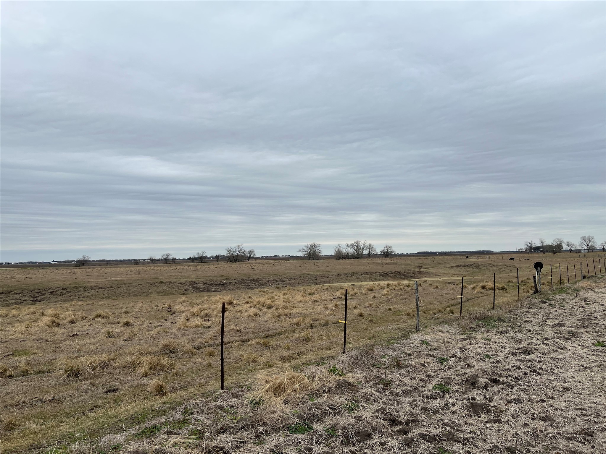 13315 Zamanek Road Needville, TX 77461 - Photo 18 of 28