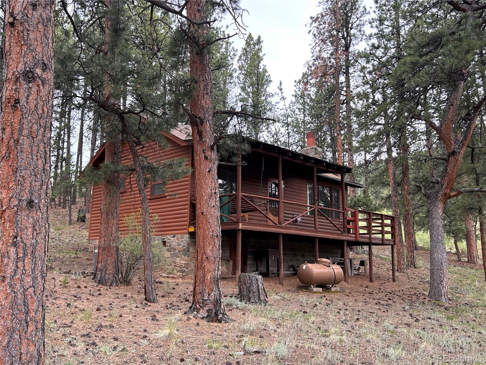 861 Happy Top Road Bailey, CO 80421 - Photo 21 of 29 a front view of a house with garden