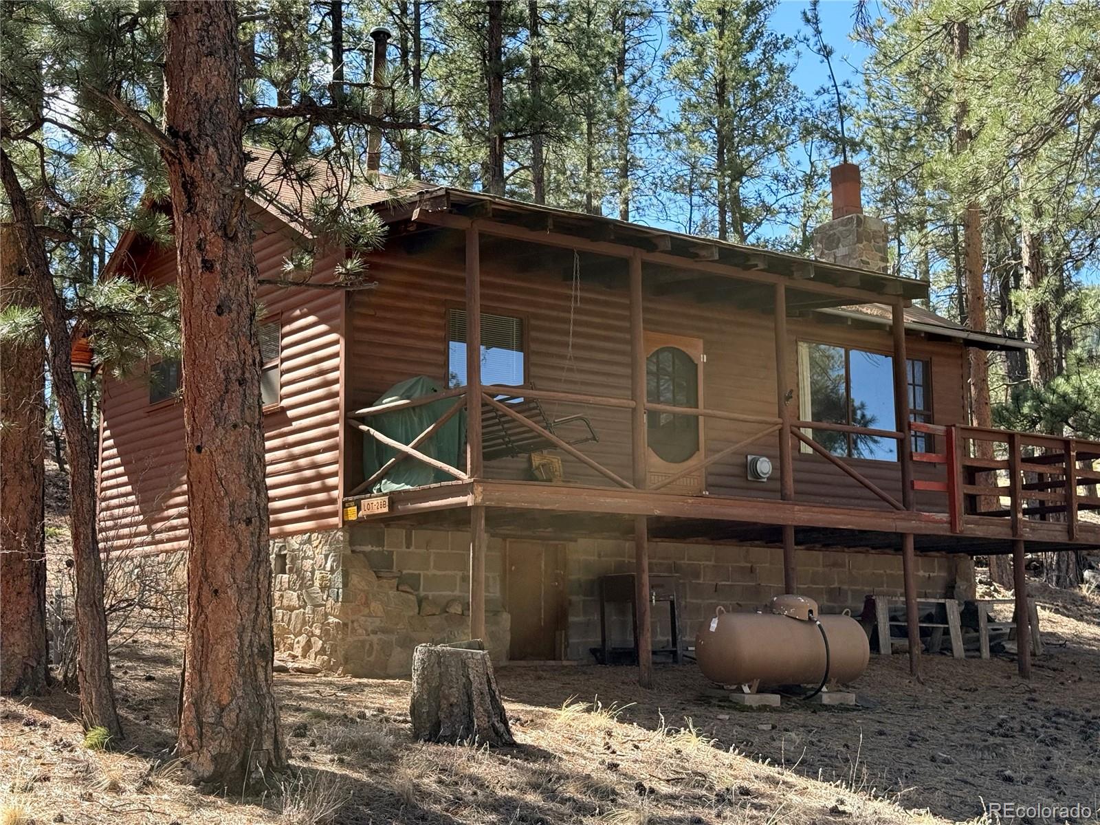 861 Happy Top Road Bailey, CO 80421 - Photo 28 of 38