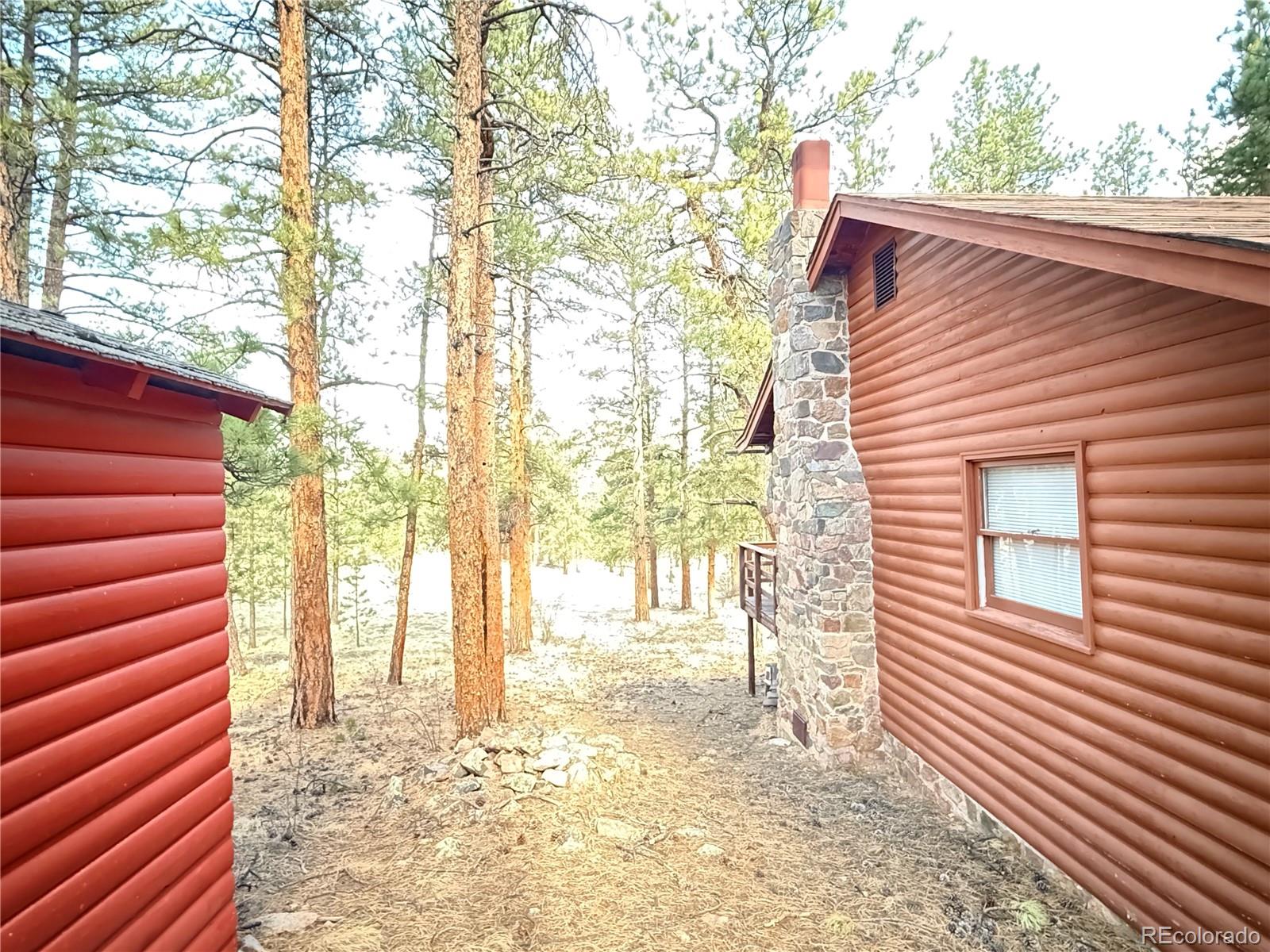 861 Happy Top Road Bailey, CO 80421 - Photo 29 of 38