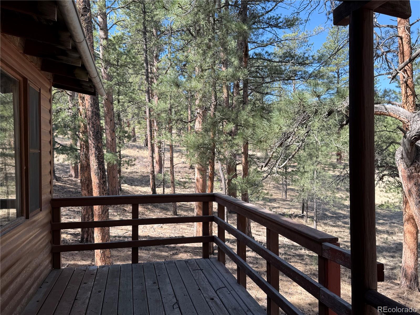 861 Happy Top Road Bailey, CO 80421 - Photo 34 of 38