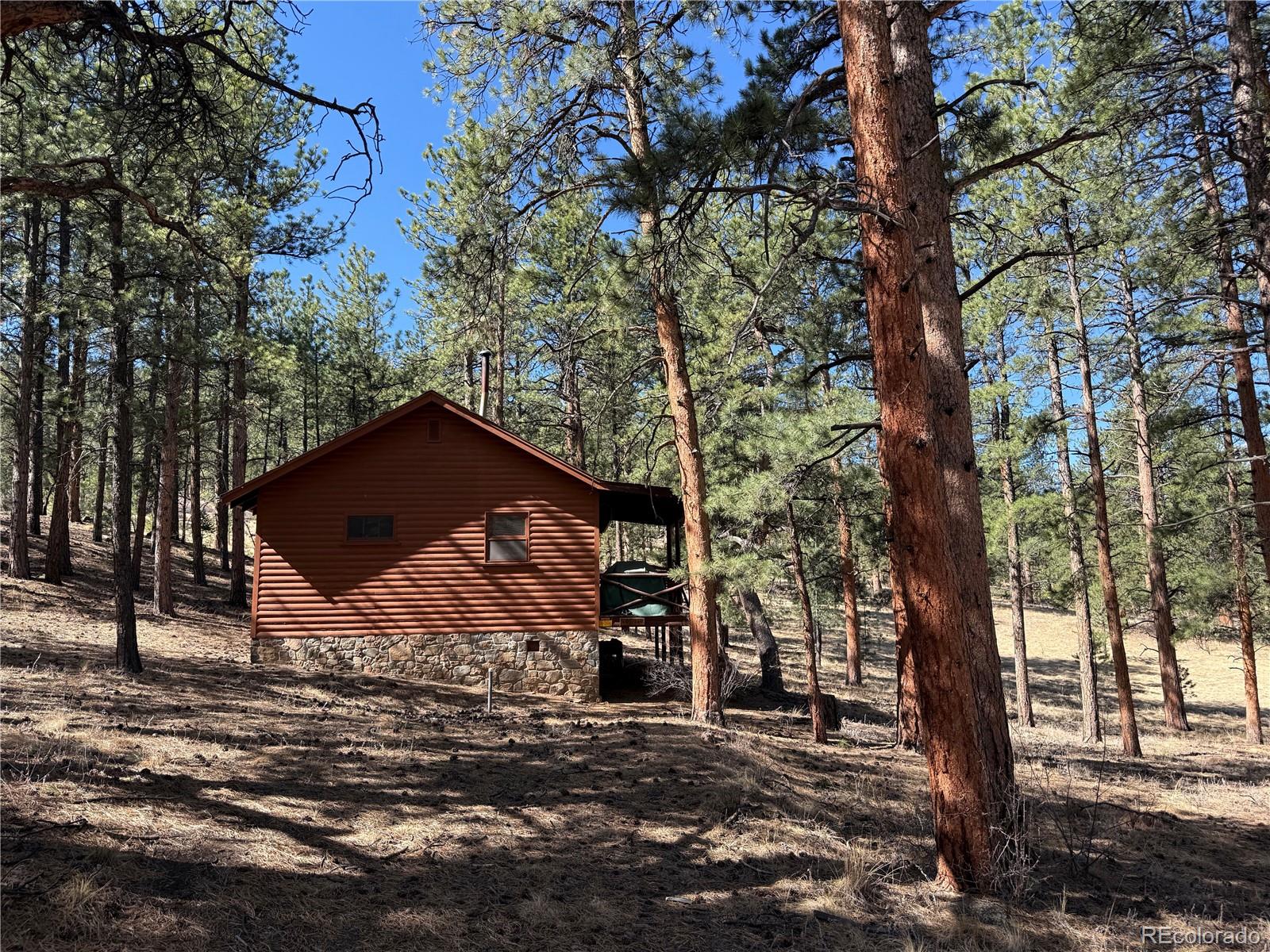 861 Happy Top Road Bailey, CO 80421 - Photo 37 of 38