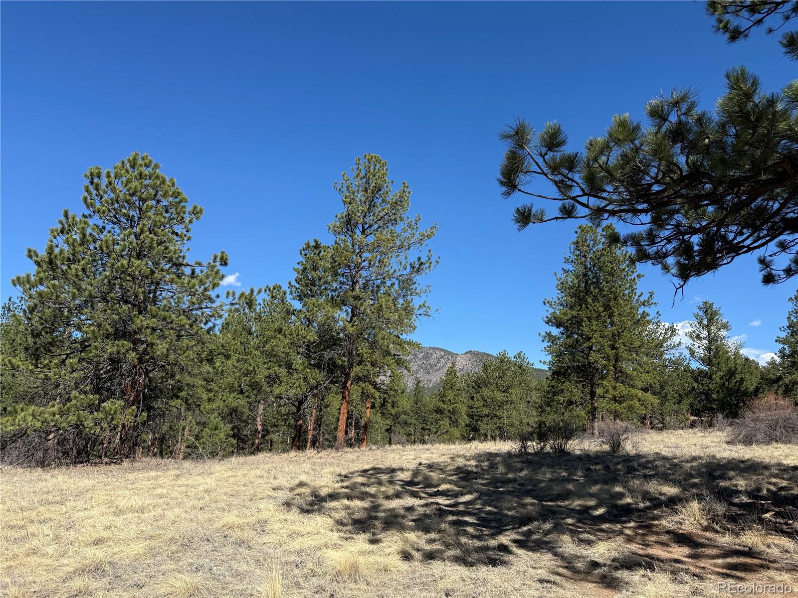 861 Happy Top Road Bailey, CO 80421 - Photo 38 of 38