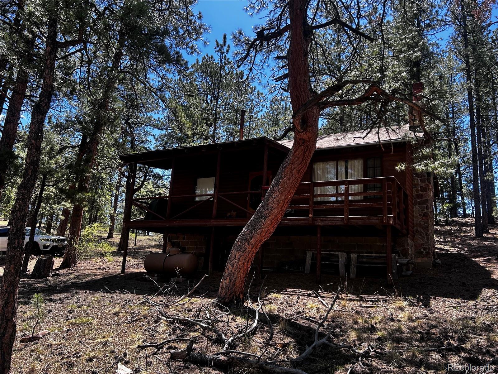 861 Happy Top Road Bailey, CO 80421 - Photo 8 of 29 a view of street with trees