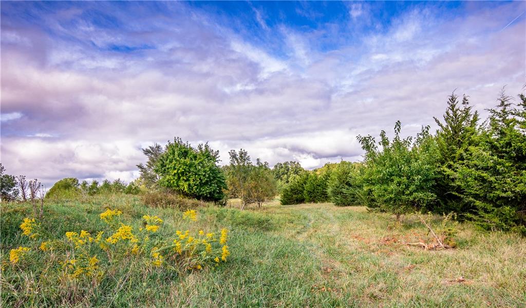 22829 Showalter Road Lacygne, KS 66040 - Photo 66 of 97 Gallery Image 66