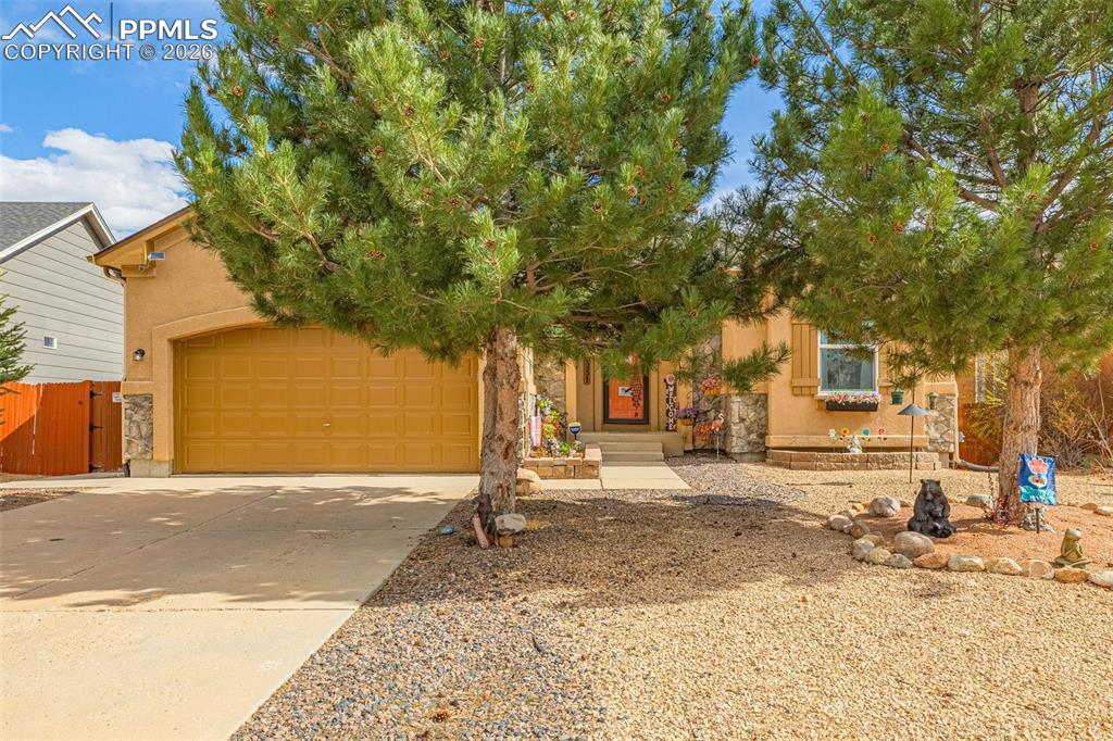 12231 Sleeping Bear Road Peyton, CO 80831 - Photo 2 of 44