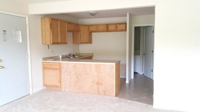 5854 Forest View Road, Unit A Lisle, IL 60532 - Photo 4 of 10