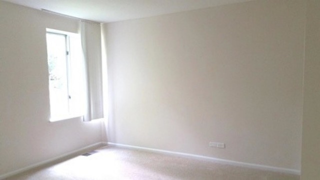 5854 Forest View Road, Unit A Lisle, IL 60532 - Photo 6 of 10