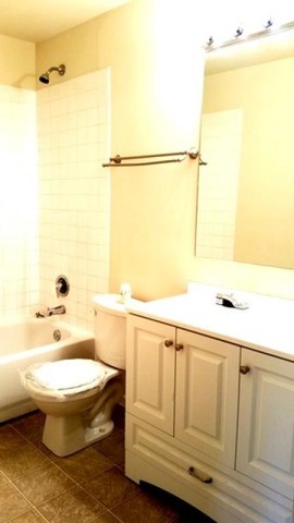 5854 Forest View Road, Unit A Lisle, IL 60532 - Photo 7 of 10