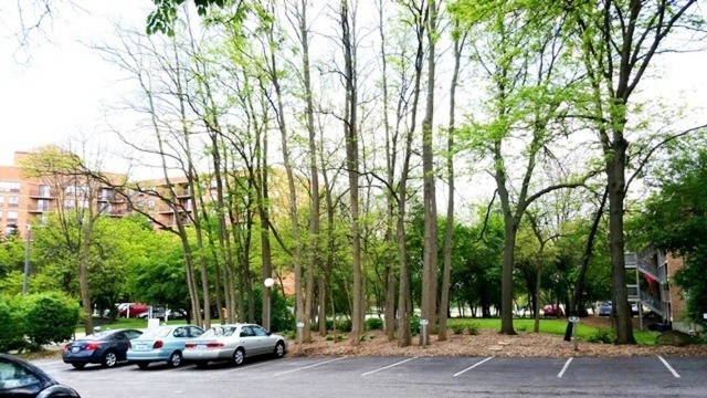 5854 Forest View Road, Unit A Lisle, IL 60532 - Photo 8 of 10