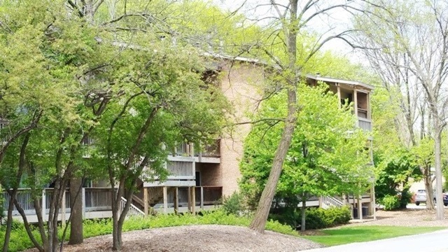 5854 Forest View Road, Unit A Lisle, IL 60532 - Photo 9 of 10