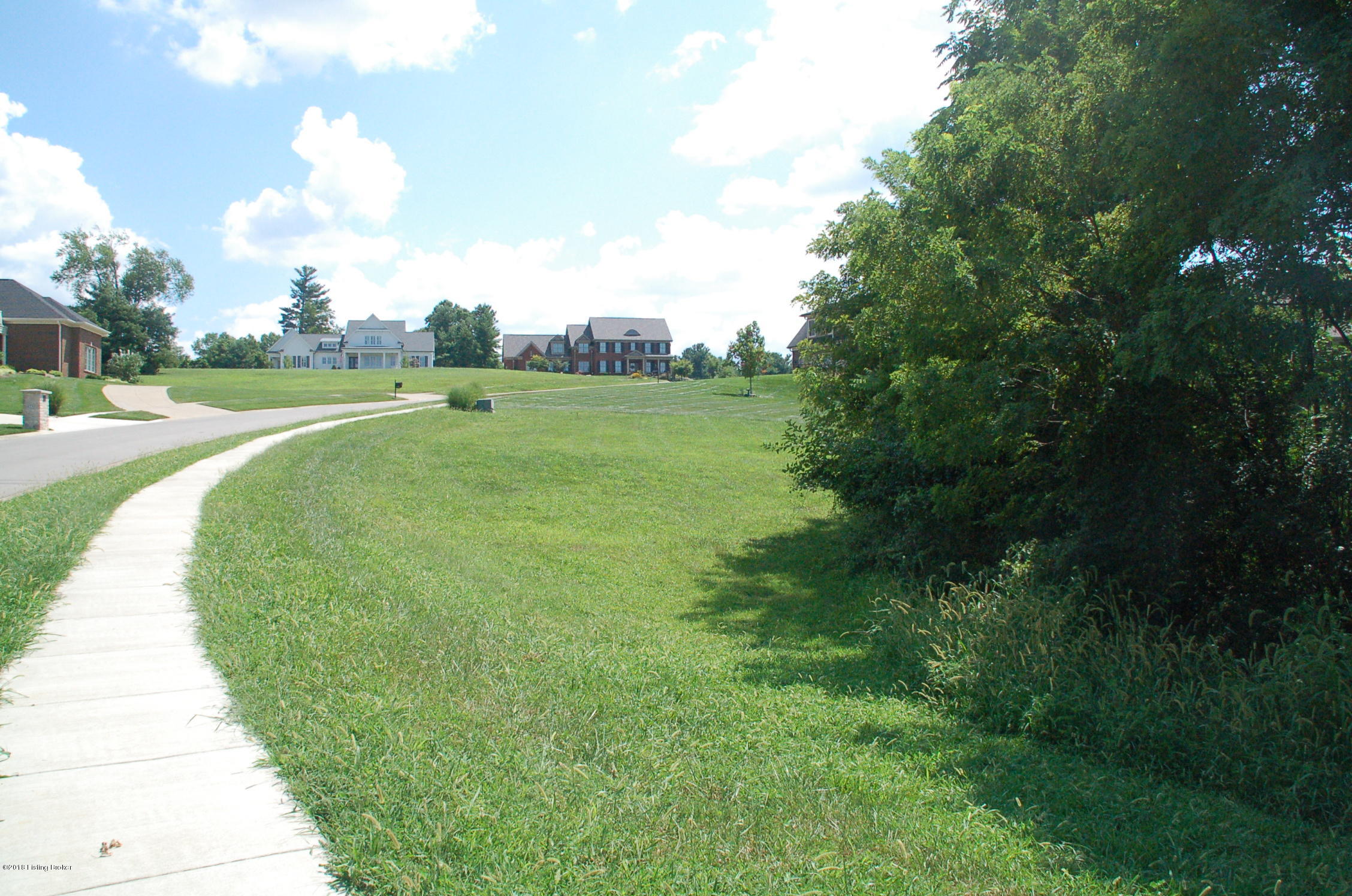 6711 Regal Road Louisville, KY 40222 - Photo 5 of 20 New sidewalk installed 2017