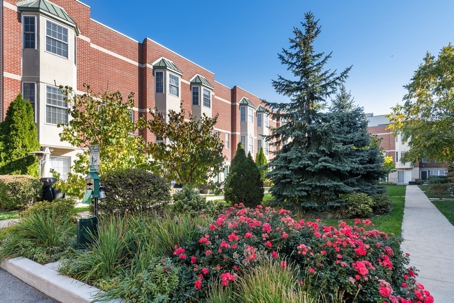 2340 West Adams Street, Unit 33 Chicago, IL 60612 - Photo 17 of 17 a view of a flower in a garden with potted plants