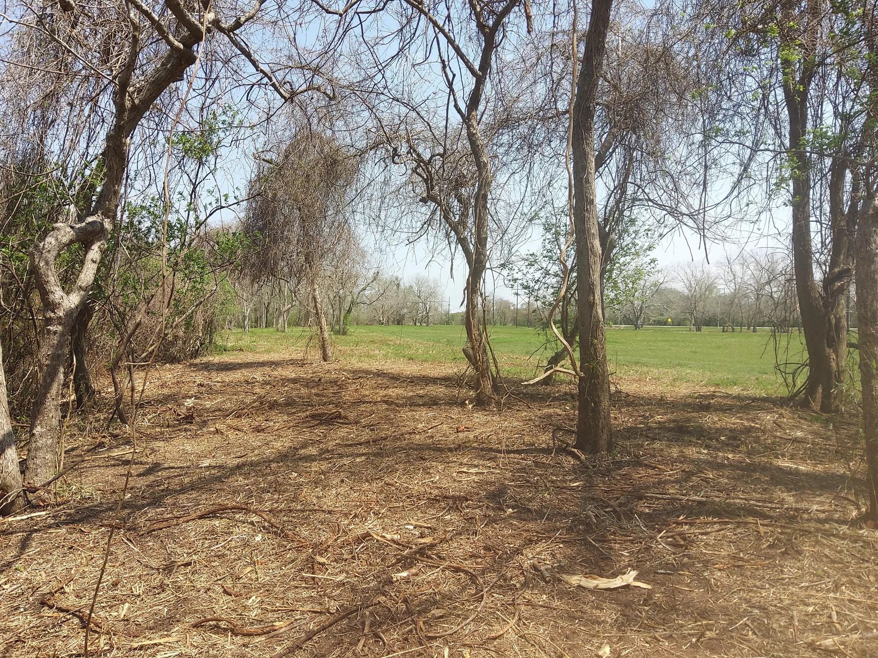 Lot 2 Fm 521 Angleton, TX 77515 - Photo 19 of 26