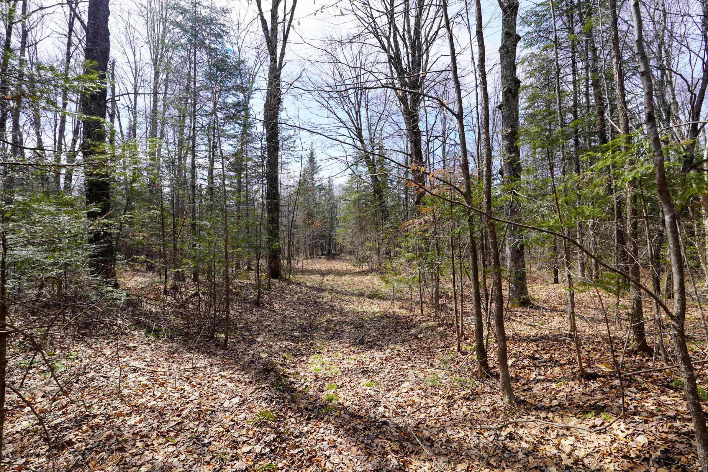 N8584 County Road East Westboro, WI 54490 - Photo 24 of 27