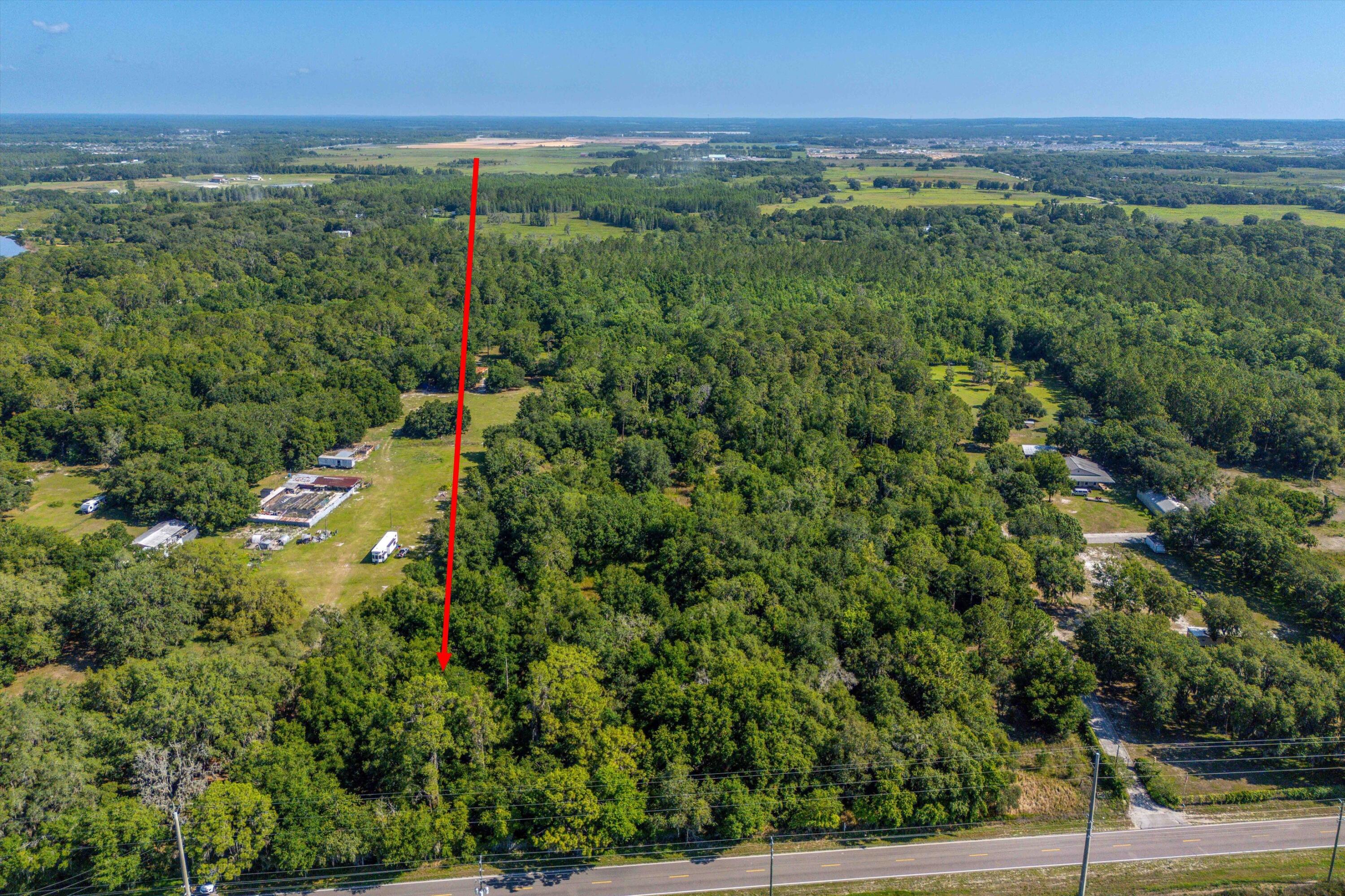 30647 Elam Road Wesley Chapel, FL 33545 - Photo 11 of 13 a view of a city with lush green forest