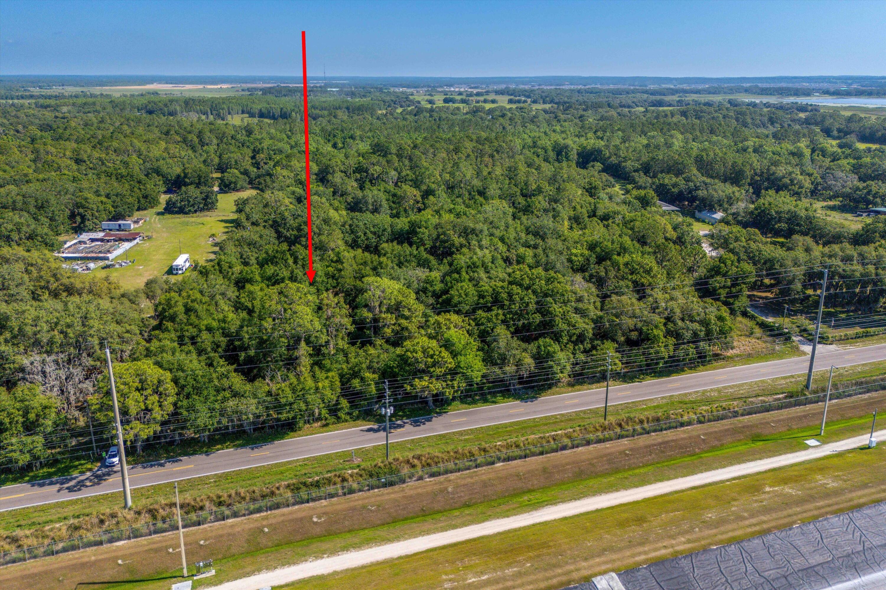 30647 Elam Road Wesley Chapel, FL 33545 - Photo 12 of 13 a view of a yard with a house