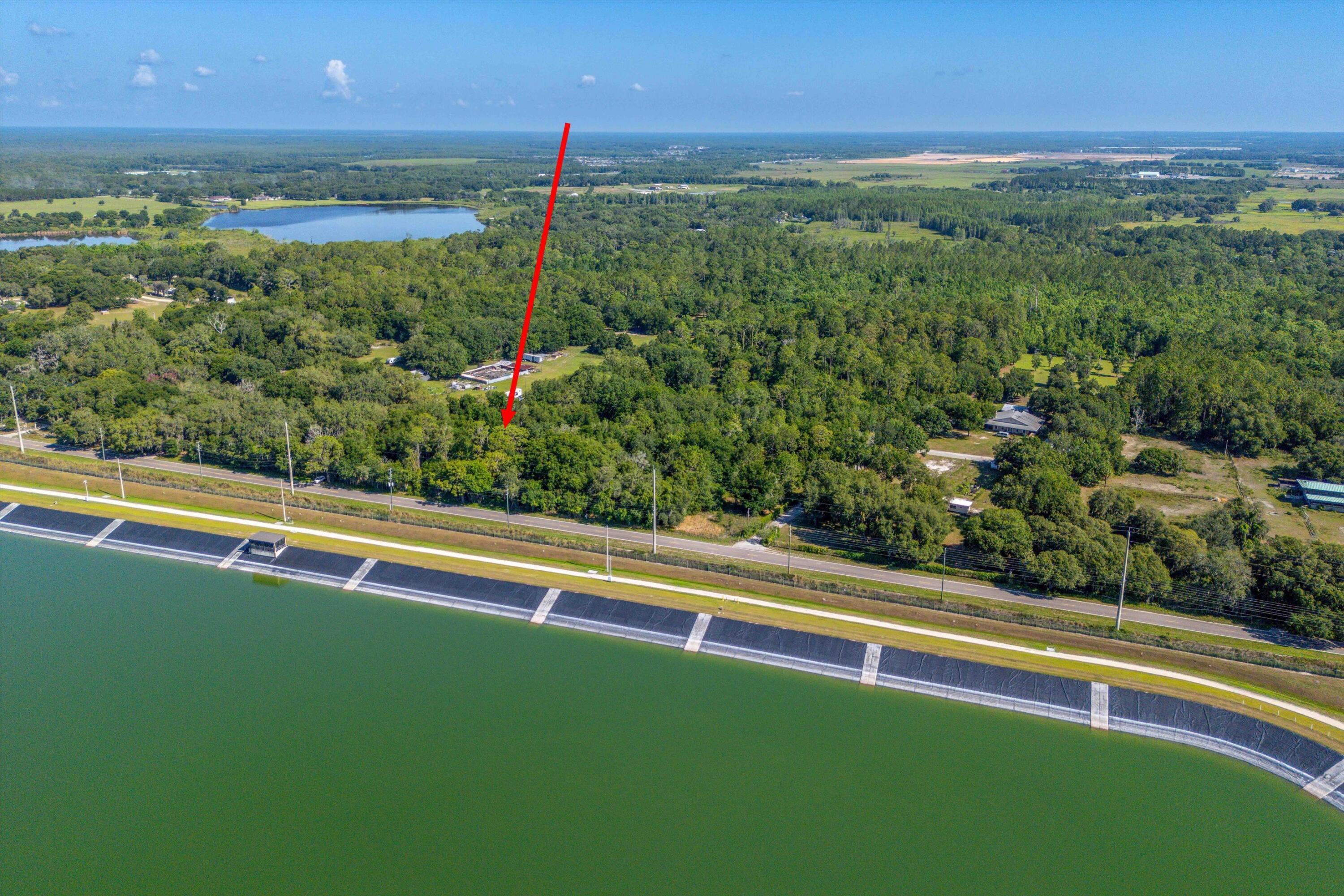 30647 Elam Road Wesley Chapel, FL 33545 - Photo 3 of 13