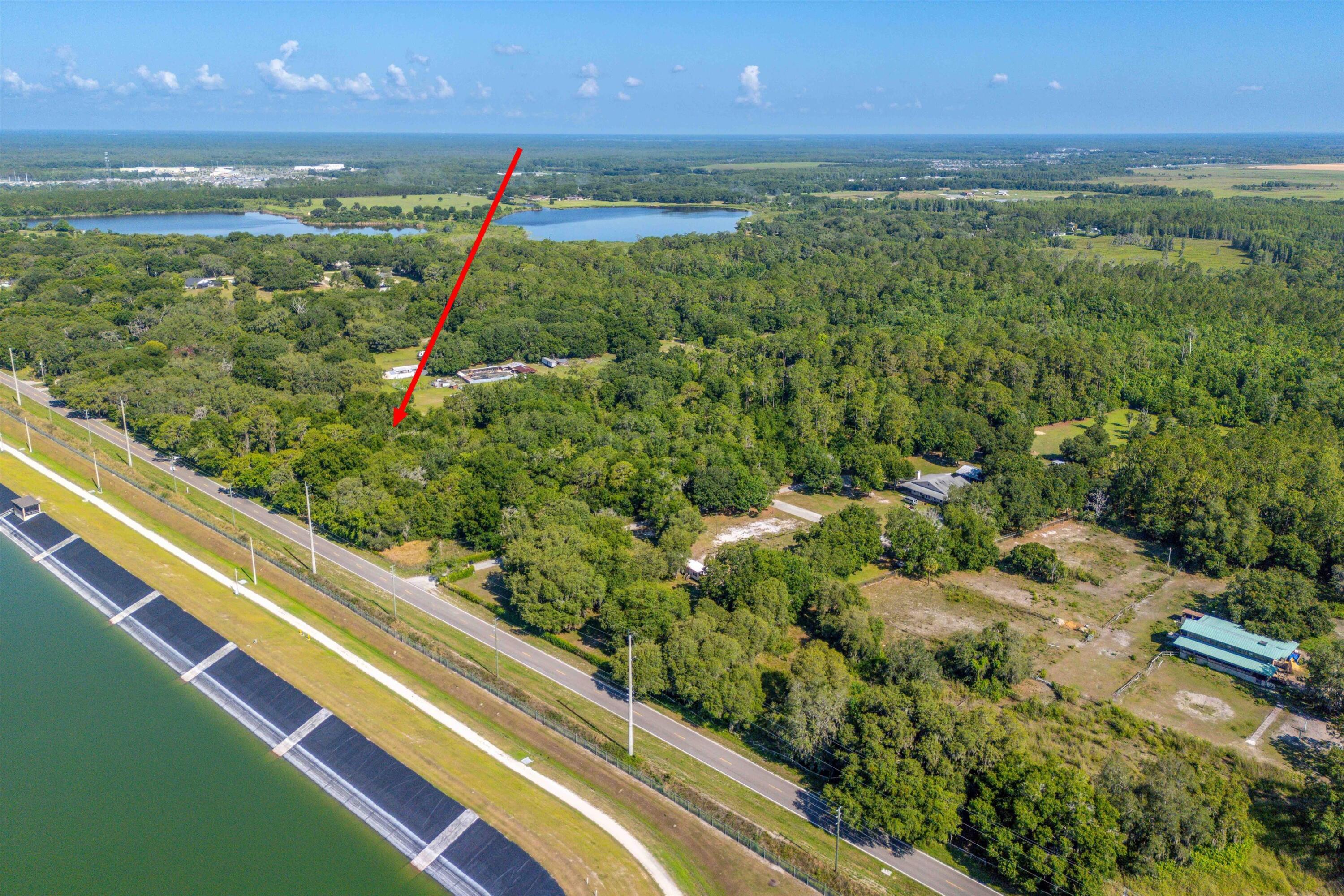 30647 Elam Road Wesley Chapel, FL 33545 - Photo 4 of 13 a view of a garden from a balcony