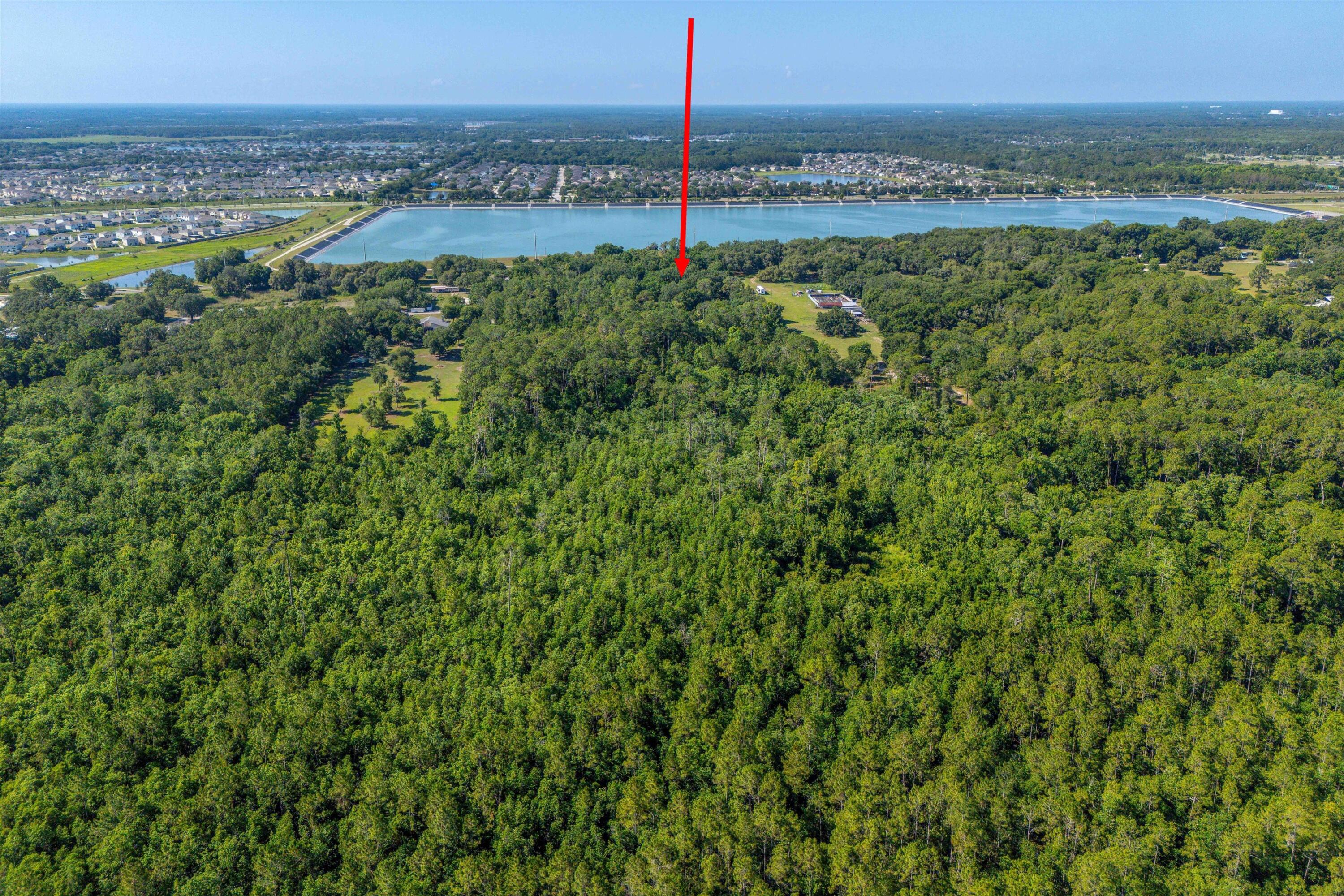 30647 Elam Road Wesley Chapel, FL 33545 - Photo 7 of 13 a view of a garden with an outdoor space