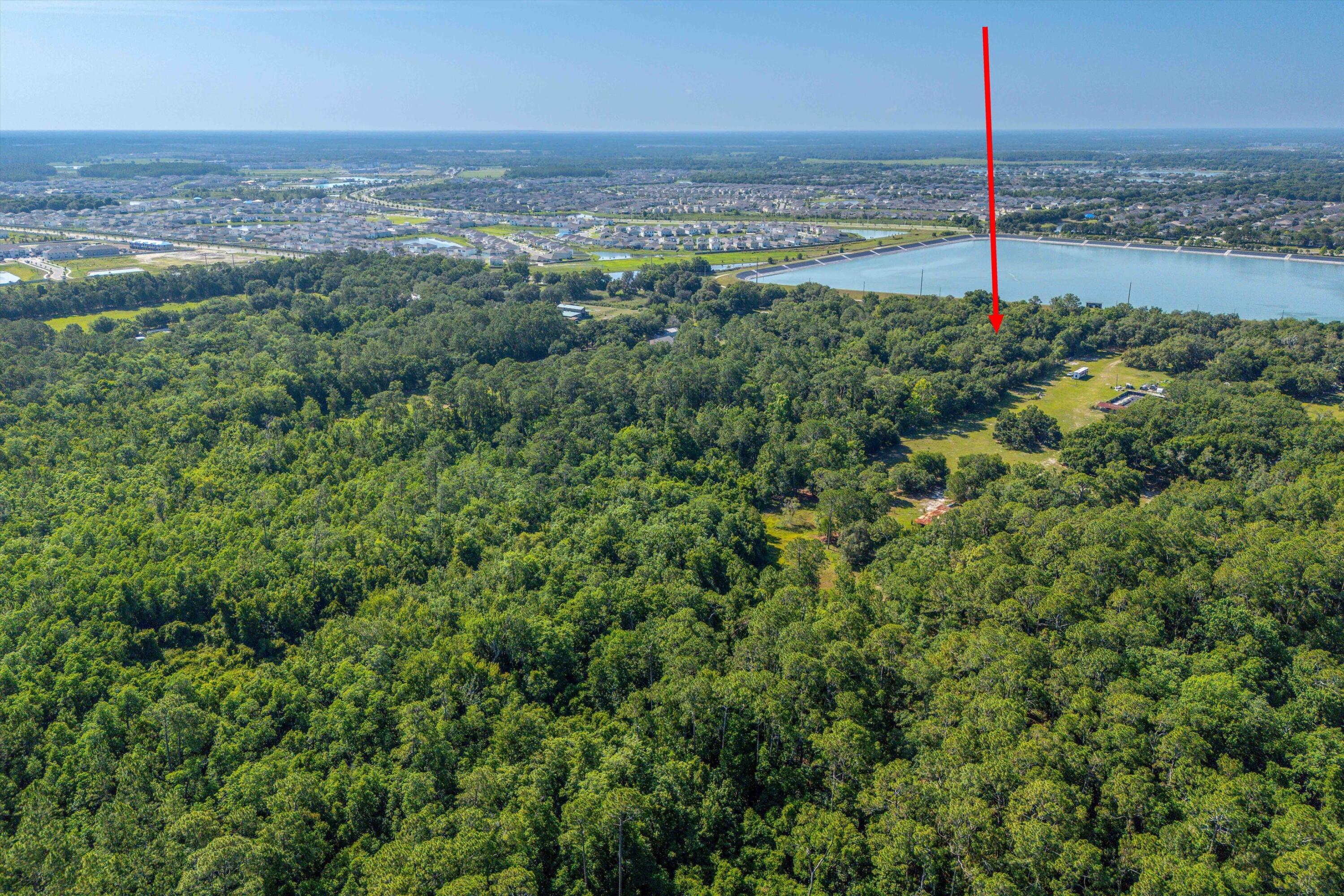 30647 Elam Road Wesley Chapel, FL 33545 - Photo 8 of 13 a view of a city