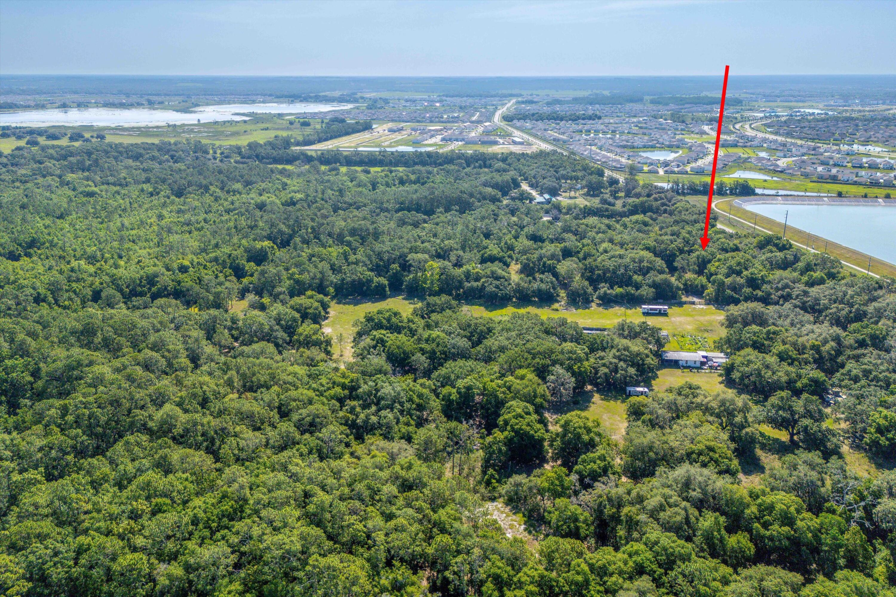 30647 Elam Road Wesley Chapel, FL 33545 - Photo 9 of 13 a view of a city