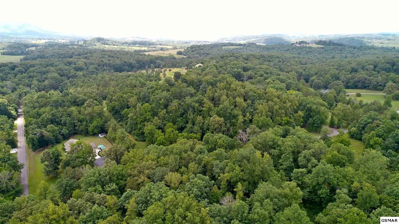 18 Sierra Road Newport, TN 37821 - Photo 8 of 18 Gallery Image 8