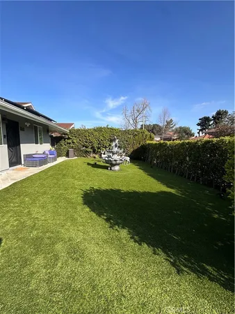 a view of a big yard with a large tree