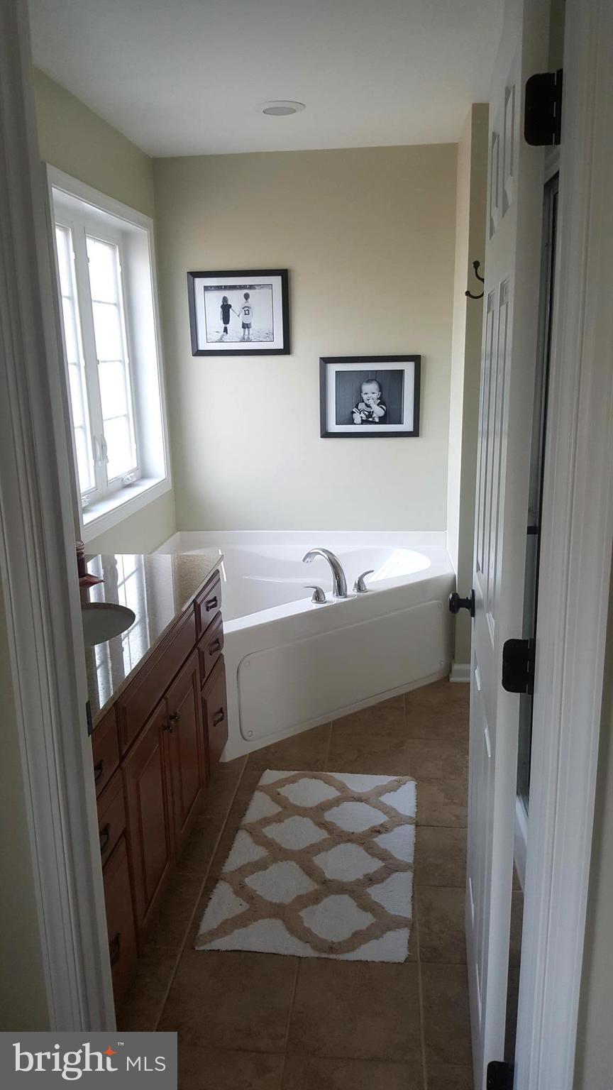 15926 Falling Waters Road Williamsport, MD 21795 - Photo 26 of 30 Bath (Master)