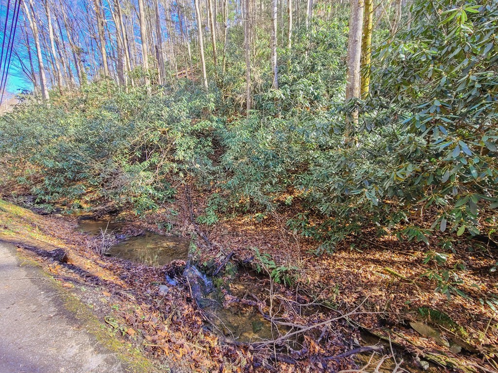 15 Butler Branch Road Gatlinburg, TN 37738 - Photo 11 of 21