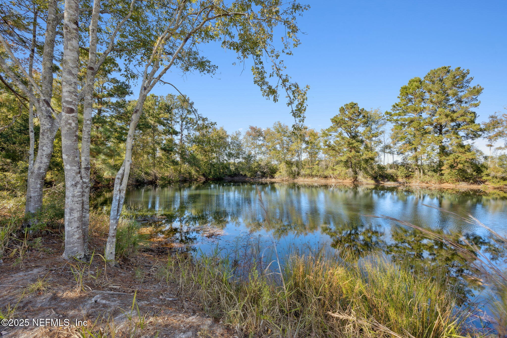 272272 Conner-Nelson Hilliard, FL 32046 - Photo 57 of 75 a view of lake