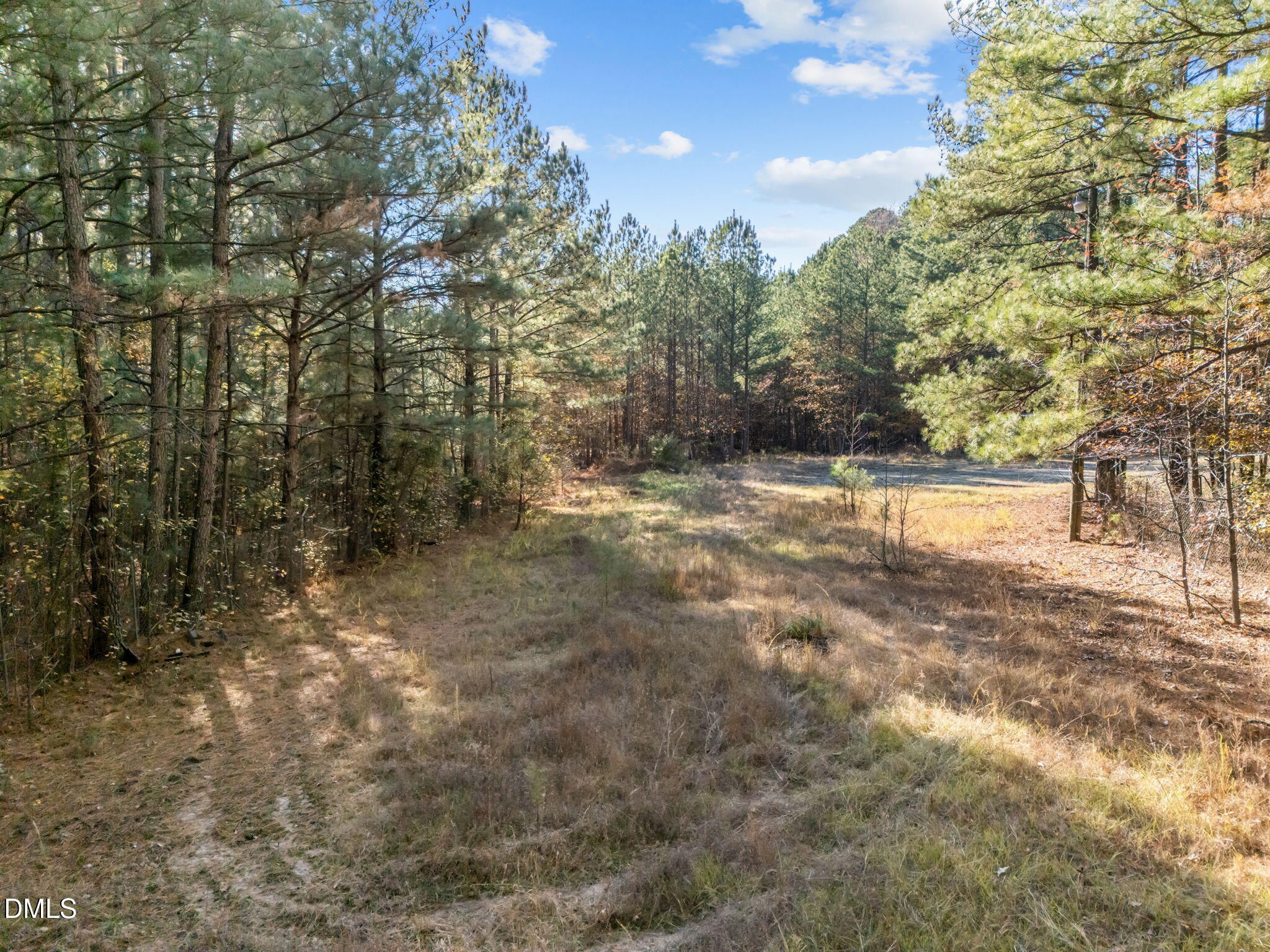 1001 Arvin Road Durham, NC 27704 - Photo 3 of 9 a view of a yard with trees