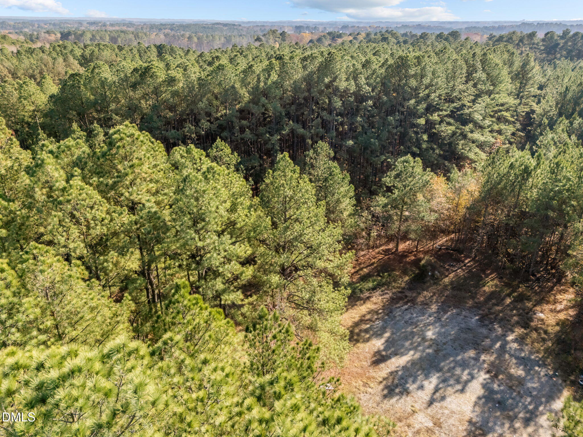 1001 Arvin Road Durham, NC 27704 - Photo 4 of 9 a view of a forest with an outdoor space