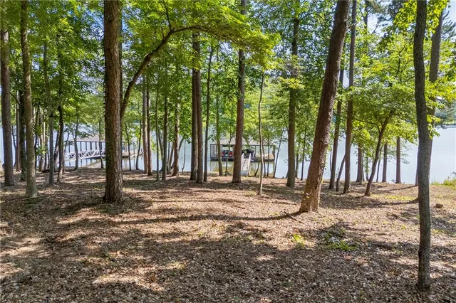a view of a backyard with trees