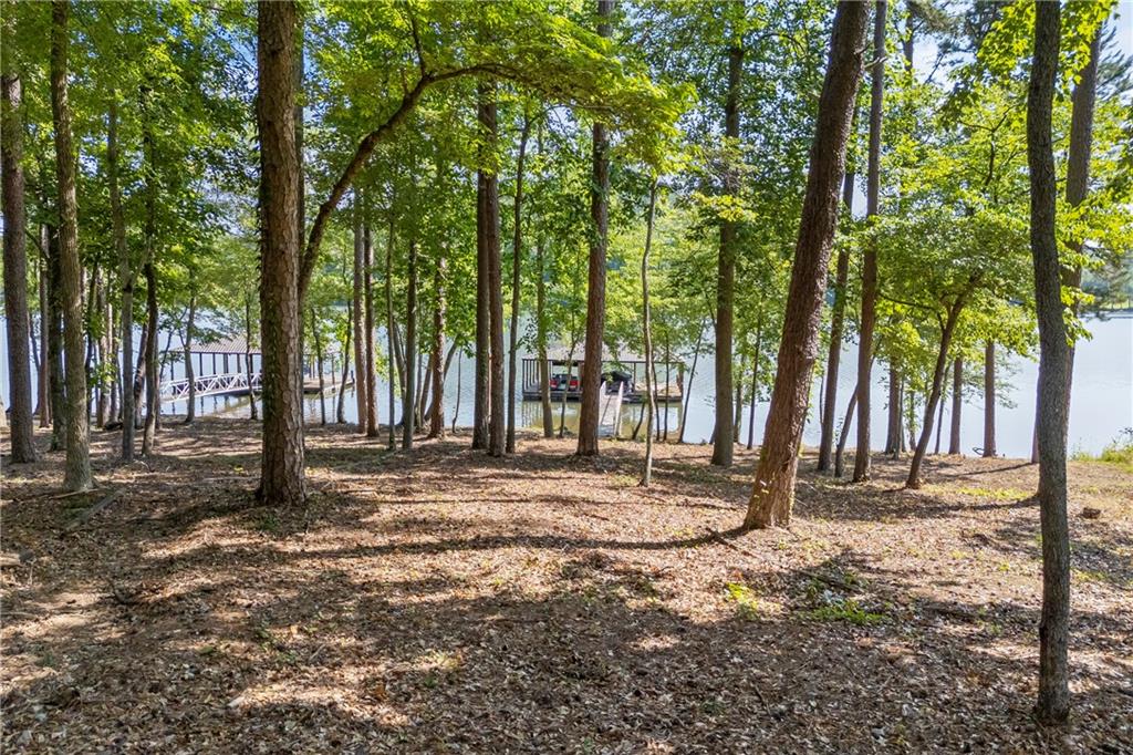 1132 Edgewater Trail Toccoa, GA 30577 - Photo 10 of 51 a view of a backyard with trees