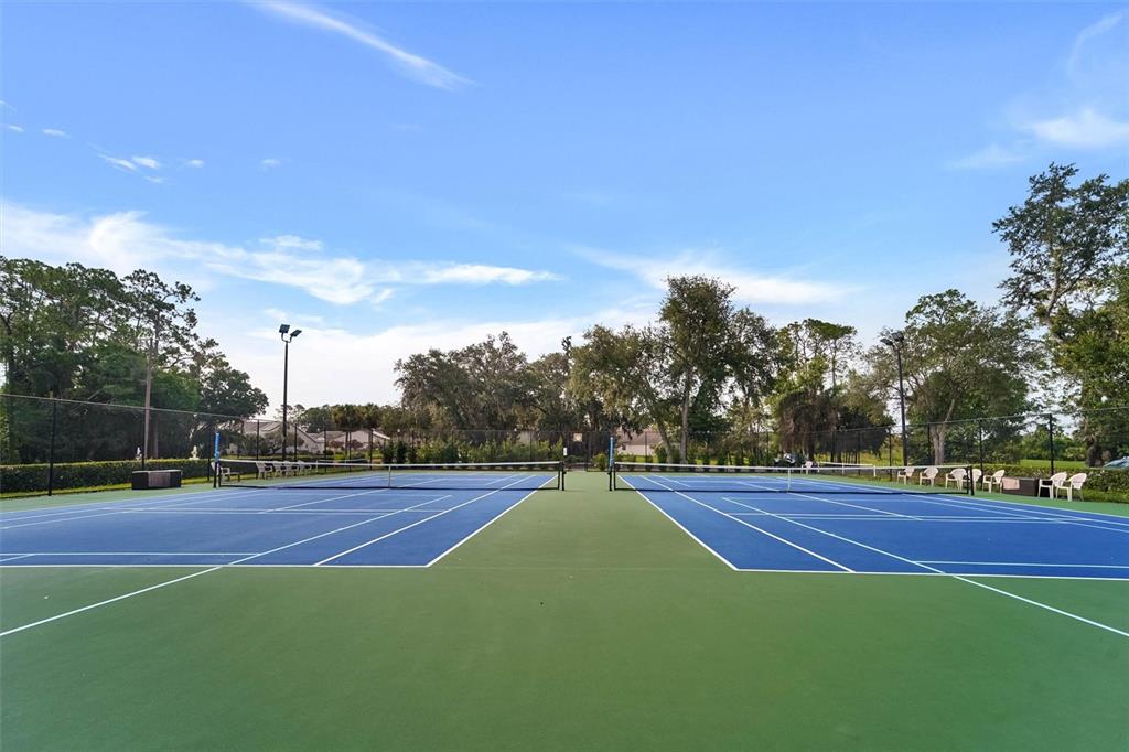 6541 Country Ridge Lane New Port Richey, FL 34655 - Photo 39 of 40 Gallery Image 39