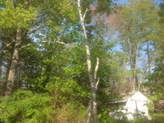 291 Lower Flying Point Road Freeport, ME 04032 - Photo 4 of 7 Photo