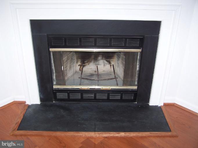 2110 Whitehall Road, Unit 1D Frederick, MD 21702 - Photo 5 of 30 Fireplace