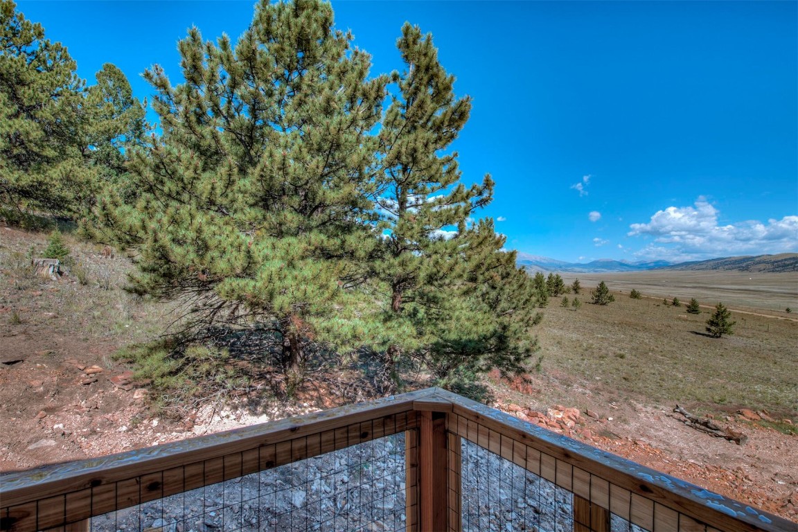 344 Redhill Road Fairplay, CO 80440 - Photo 29 of 34 a view of a forest from a window