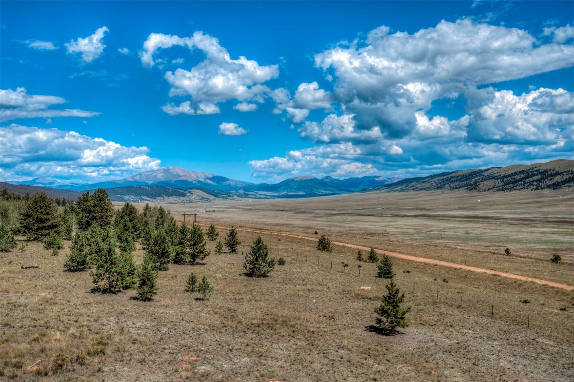 344 Redhill Road Fairplay, CO 80440 - Photo 31 of 34 a view of a dry yard with lots of trees