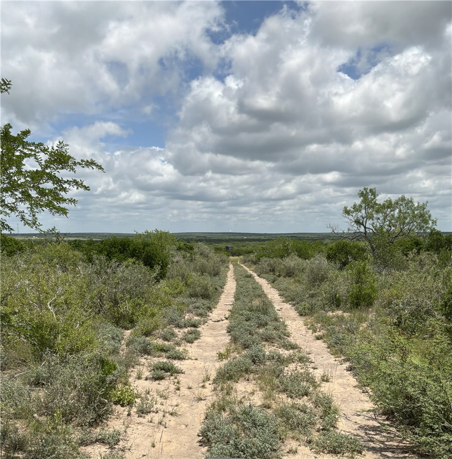 0 Private Road San Diego, TX 78384 - Photo 2 of 9