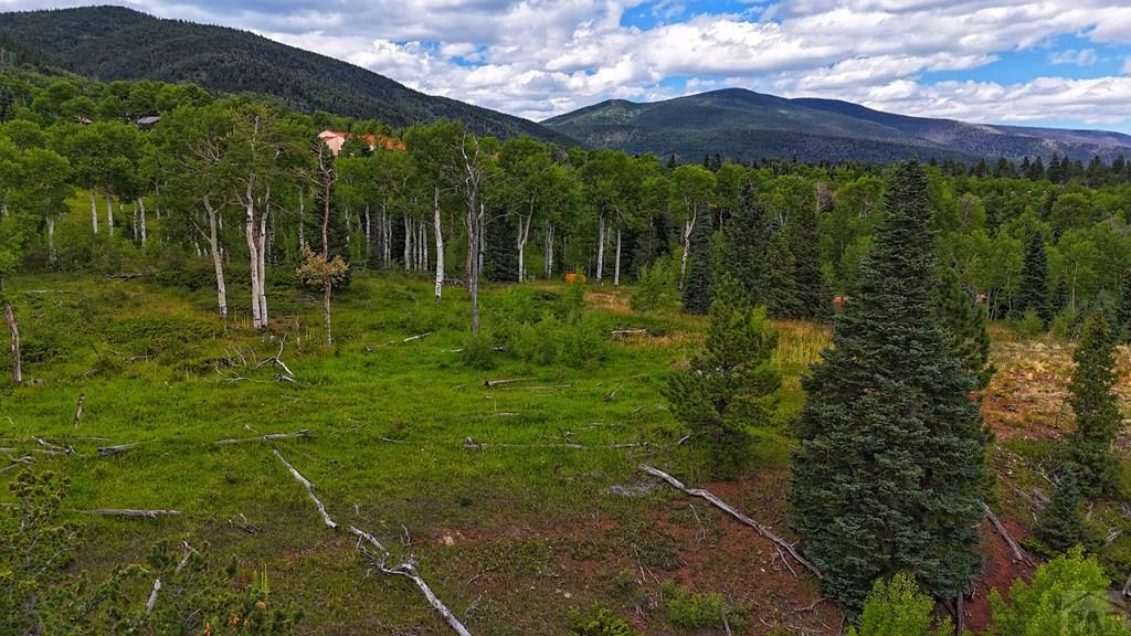 Tbd Baker Creek Road La Veta, CO 81055 - Photo 5 of 13