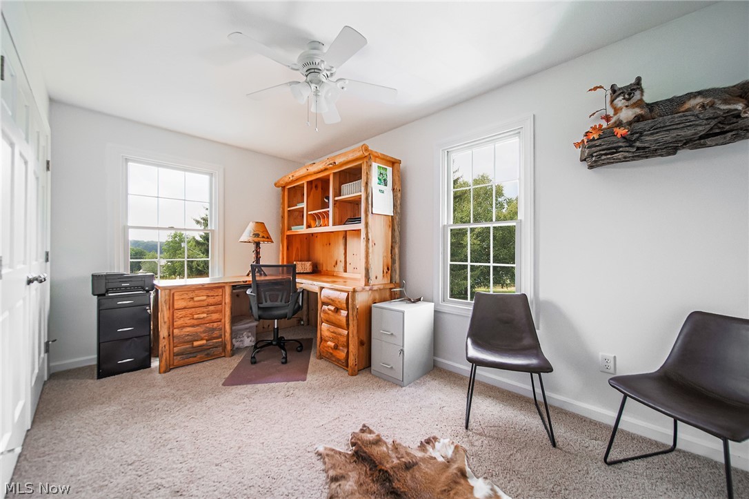 9554 Dover Road Apple Creek, OH 44606 - Photo 28 of 45 Office area featuring light carpet and ceiling fan