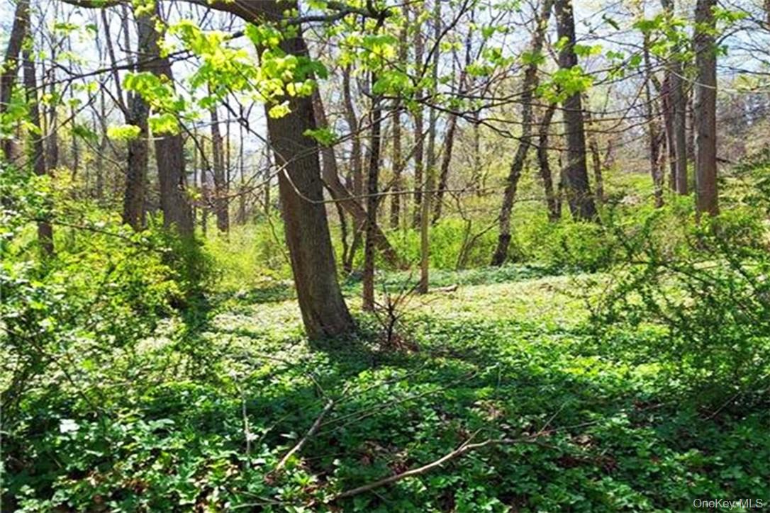 Pine Road Tuxedo Park, NY 10987 - Photo 2 of 3 a view of yard with trees