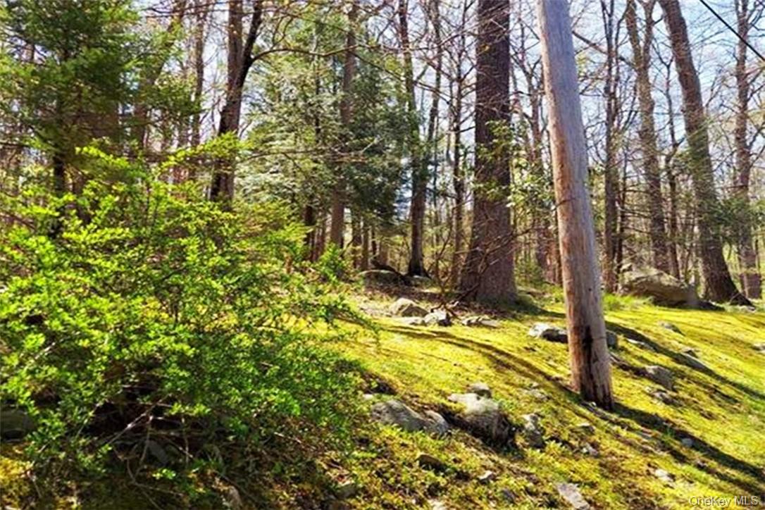 Pine Road Tuxedo Park, NY 10987 - Photo 3 of 3