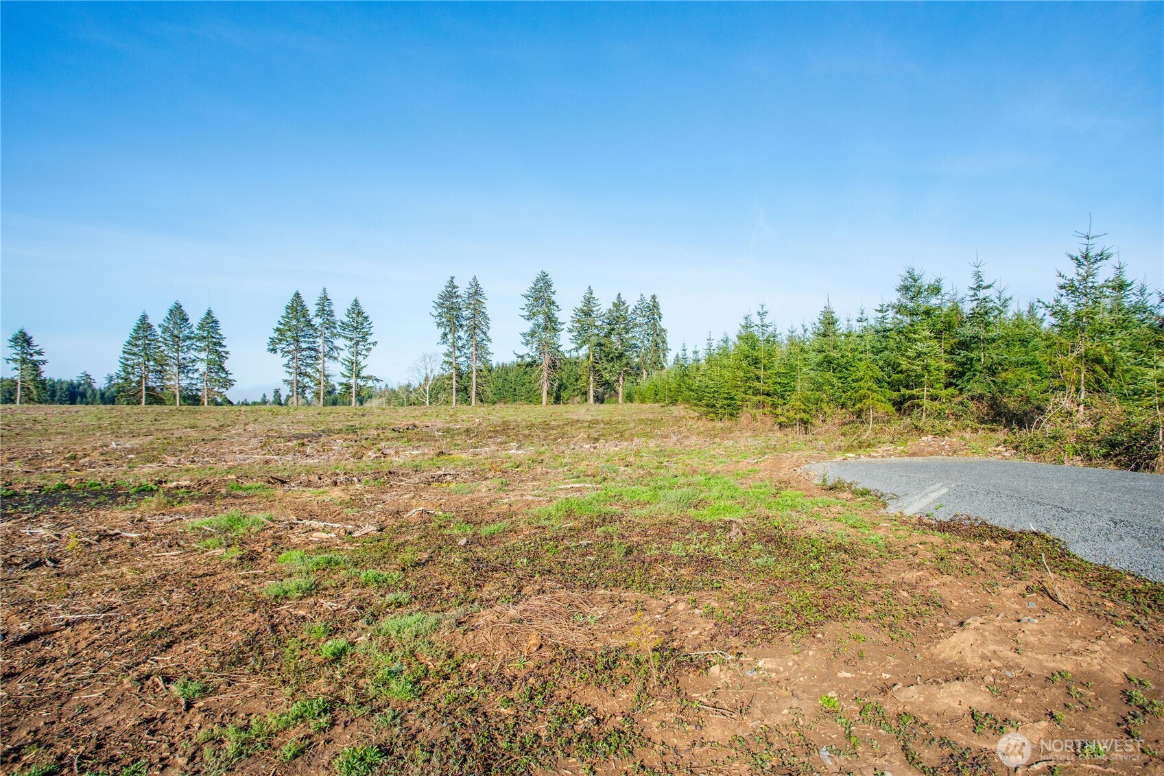 133 Beckett Lane Chehalis, WA 98532 - Photo 1 of 23 a view of a field with trees in background