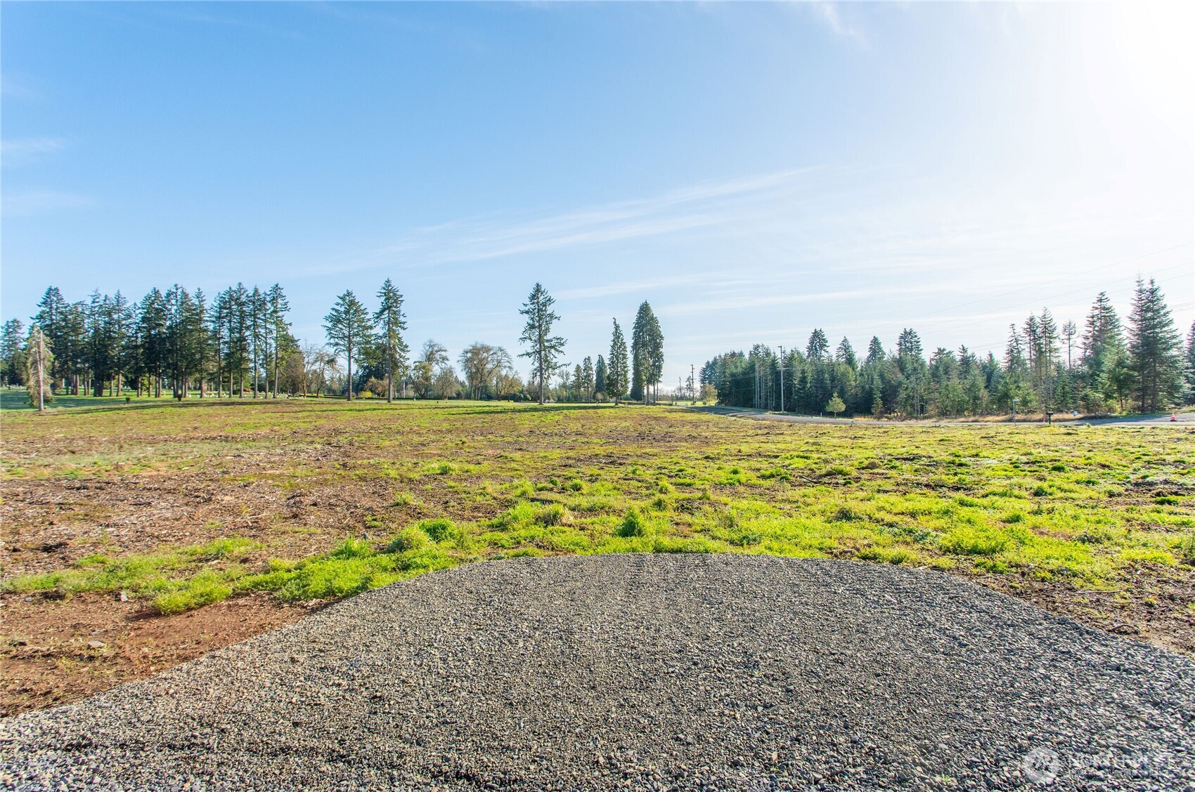 133 Beckett Lane Chehalis, WA 98532 - Photo 8 of 23 a view of a yard with an ocean beach